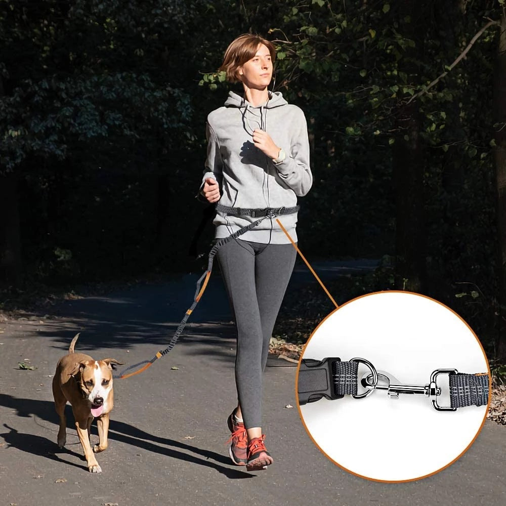 Hands-Free Dog Leash with Waist Belt — Bungee Bike & Running Lead