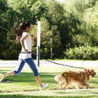 Hands-Free Dog Leash with Waist Belt — Bungee Bike & Running Lead