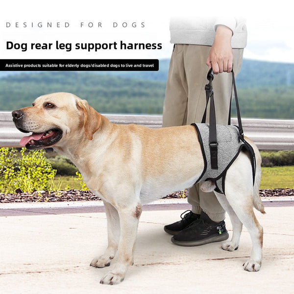 Dog Hind Leg Support Sling — Rehabilitation Belt