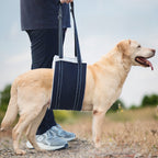 Adjustable Dog Recovery Harness — Post-Surgery Support