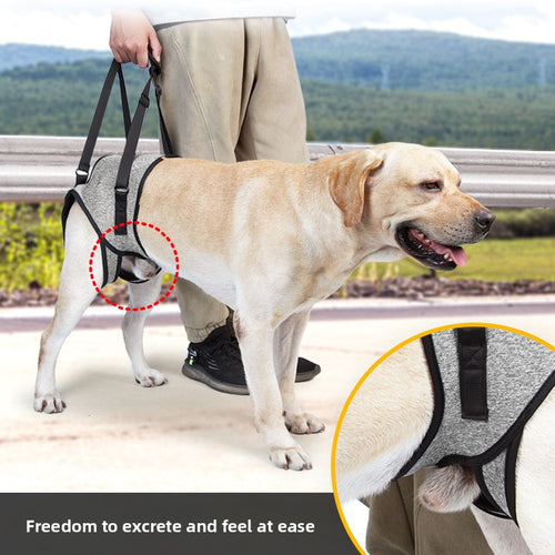Dog Hind Leg Support Sling — Rehabilitation Belt