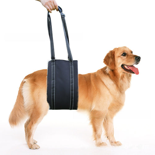 Adjustable Dog Recovery Harness — Post-Surgery Support