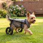 Pet wheelchair
