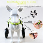 Dog Rehabilitation Walker — Adjustable Small-Breed Mobility Frame