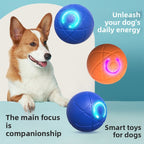 Smart Interactive Dog Ball — Self-Play Toy